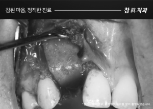 울산삼산동치과