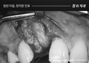 울산삼산동치과