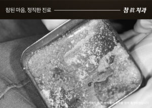 참치과