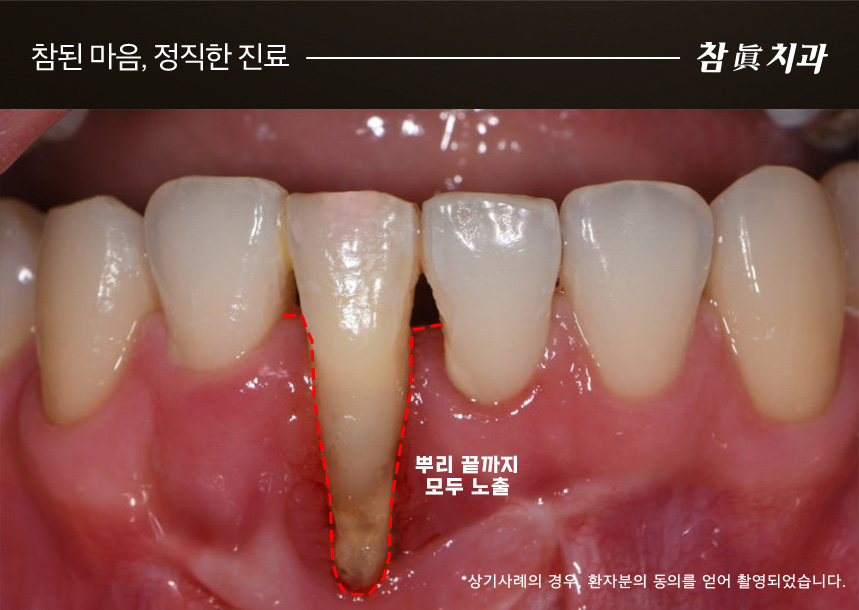 울산삼산동치과