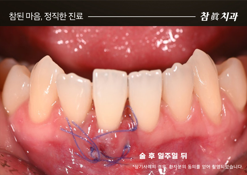 울산삼산동치과