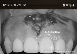 울산삼산동치과