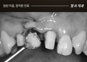 울산삼산동치과